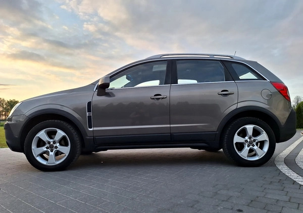 Opel Antara cena 23900 przebieg: 249000, rok produkcji 2007 z Bełżyce małe 436
